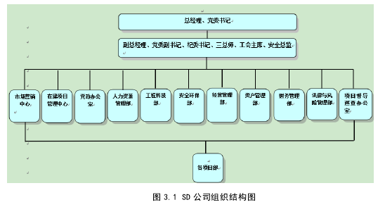 图 3.1 SD 公司组织结构图