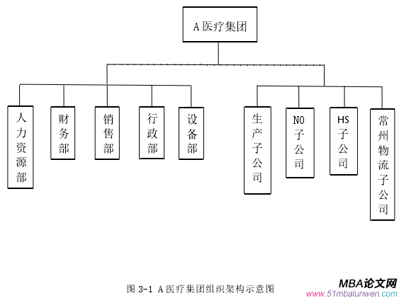 图 3-1 A 医疗集团组织架构示意图